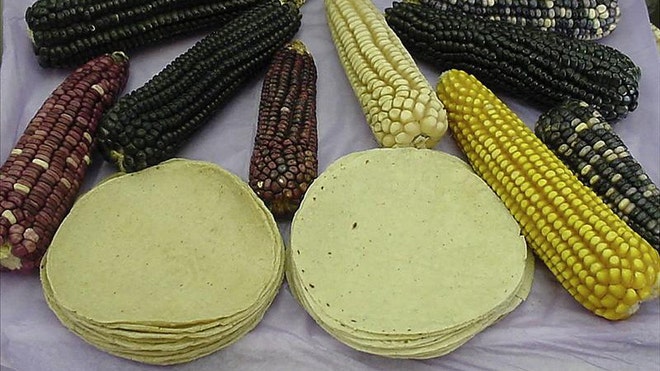 environmental tortillas.jpg